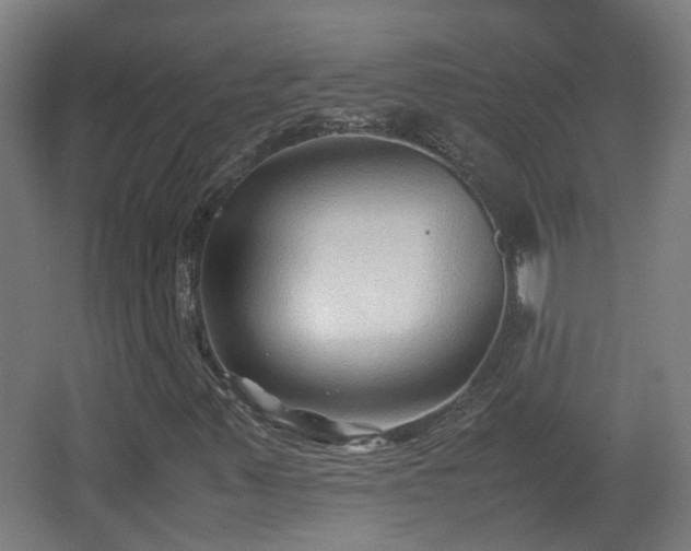 X0000066961347200603311412