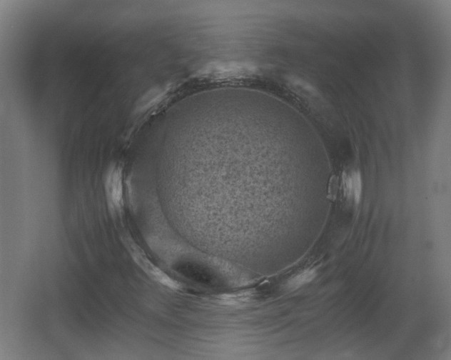 X0000066961348200603311412