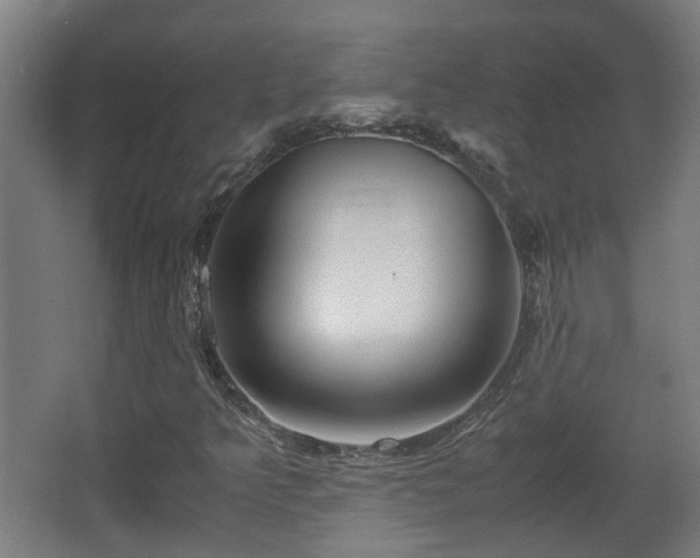 X0000066961349200603311412