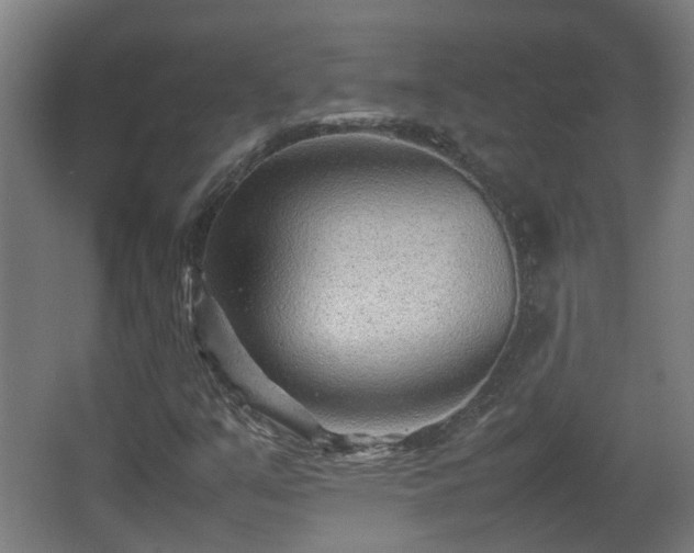 X0000066961351200603311412