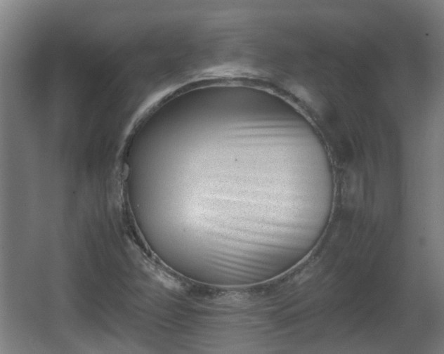 X0000066961358200603311412
