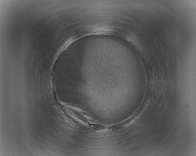 X0000066961362200603311412