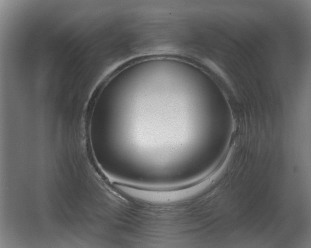 X0000066961364200603311412