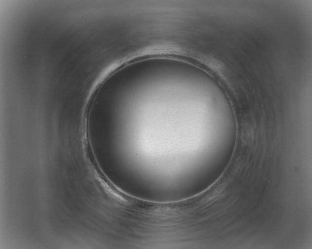 X0000066961366200603311412