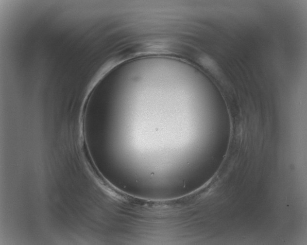 X0000066961370200603311412