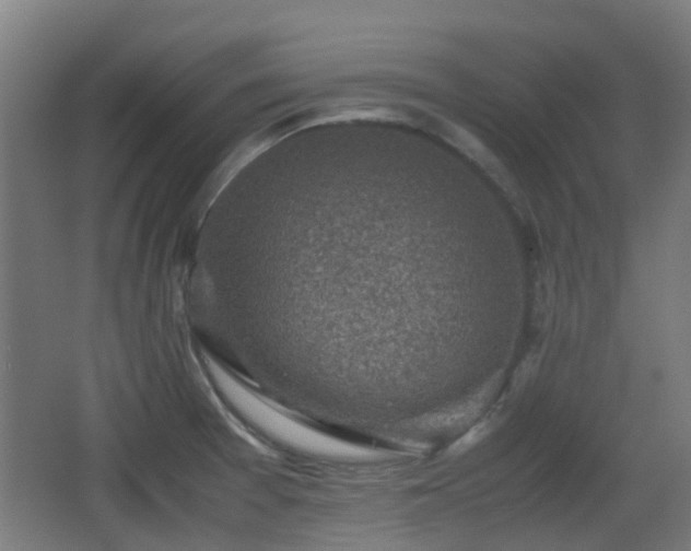 X0000066961377200603311412