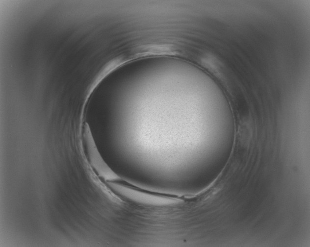 X0000066961378200603311412