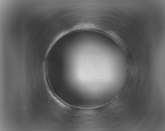 X0000066961382200603311412