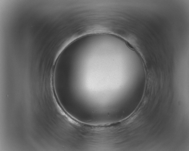 X0000066961390200603311412