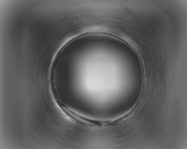 X0000066961392200603311412