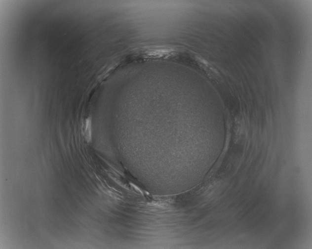 X0000066961394200603311411