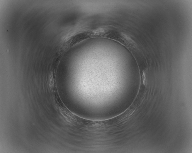 X0000066961395200603311411
