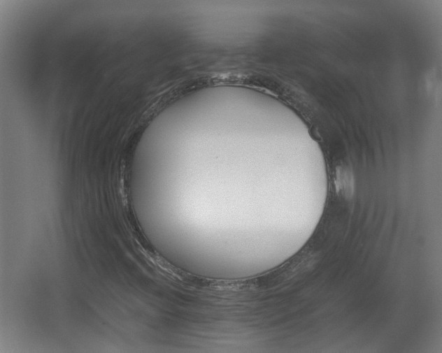 X0000066961396200603311411