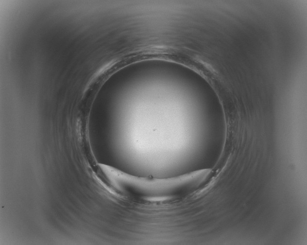 X0000066961402200603311411
