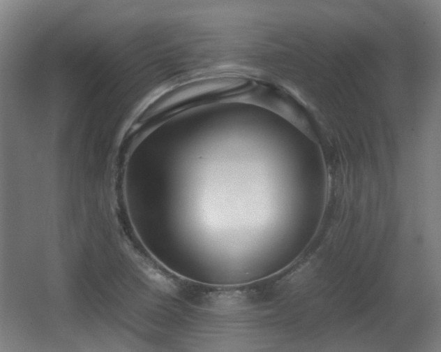 X0000066961410200603311411