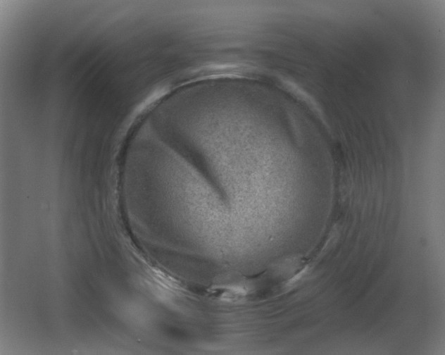 X0000066961411200603311411