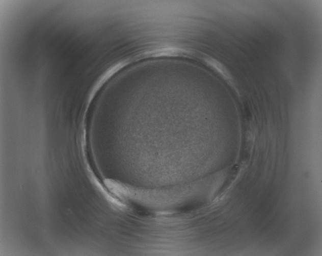 X0000066961418200603311411