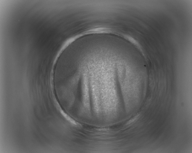 X0000066961421200603311411