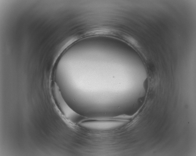 X0000066961426200603311411