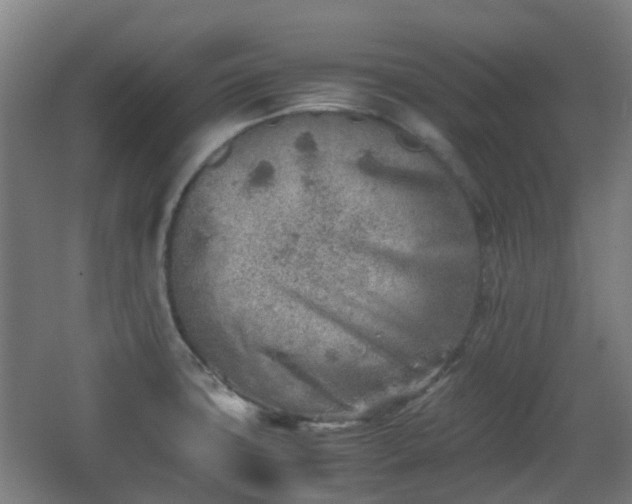 X0000066961427200603311411