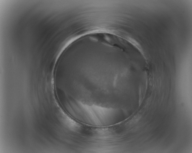 X0000066961428200603311411