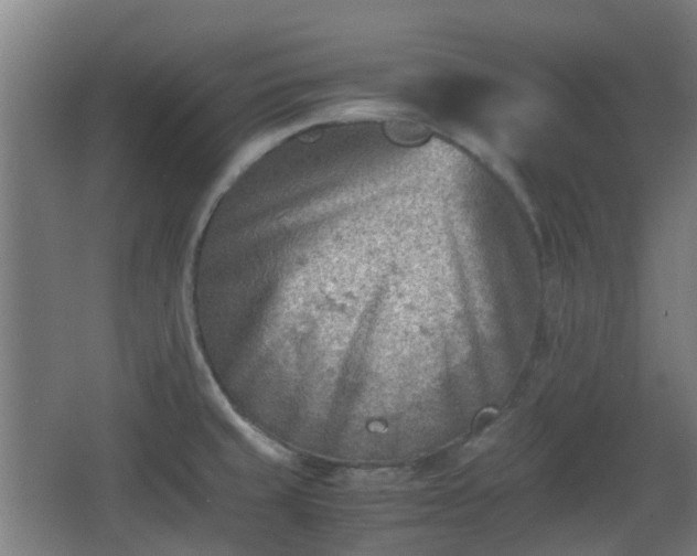 X0000066961429200603311411
