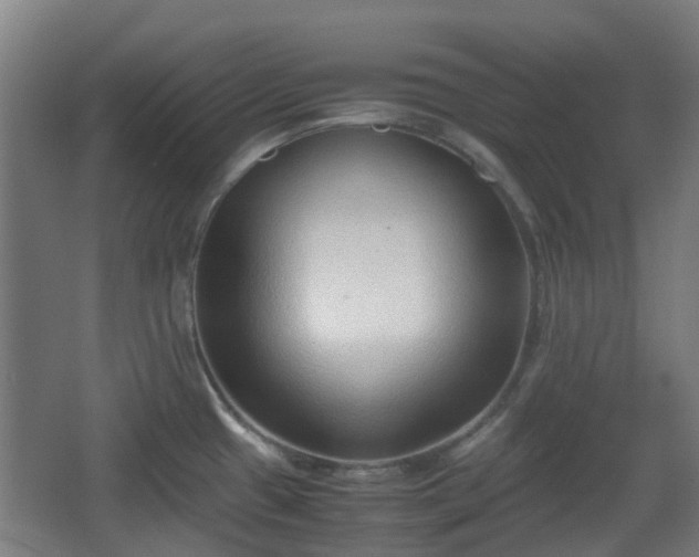 X0000066961433200603311412