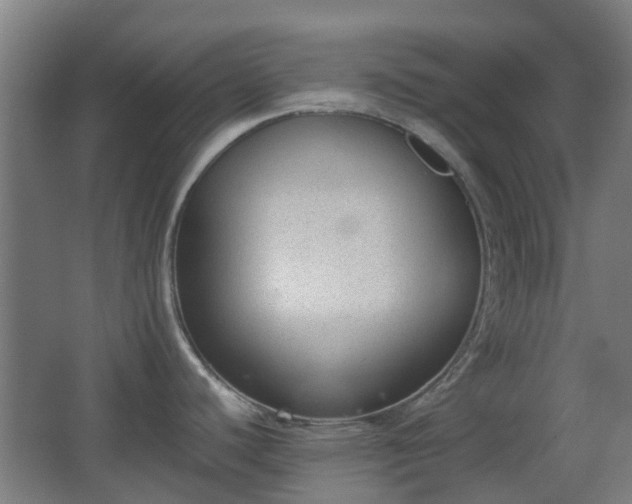 X0000066961440200603311412