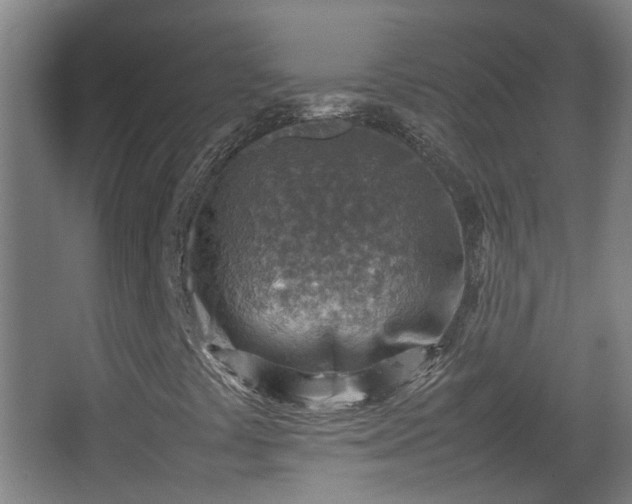 X0000066961441200603311411