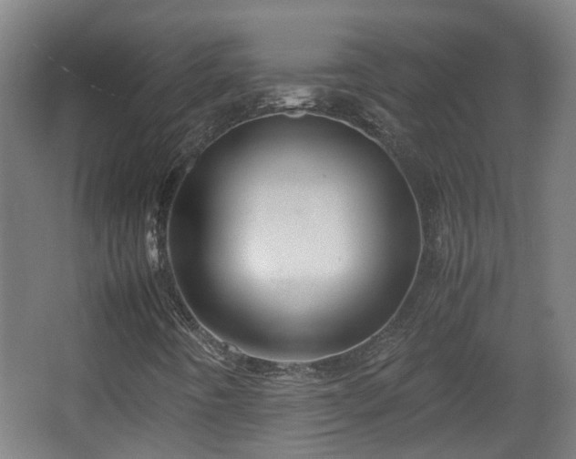 X0000066961442200603311411