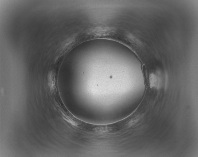 X0000066961444200603311411