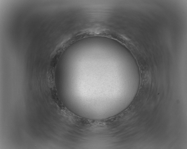 X0000066961446200603311411