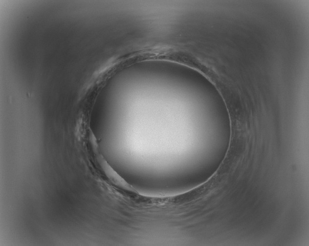 X0000066961447200603311411