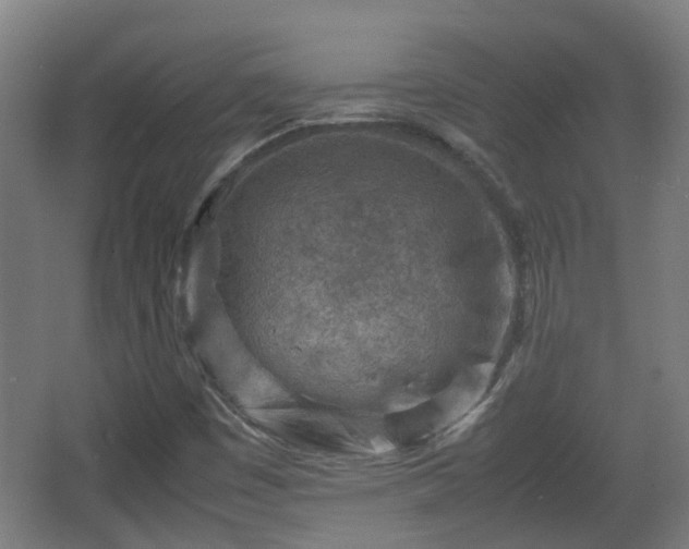 X0000066961449200603311411
