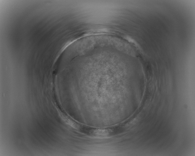 X0000066961457200603311411