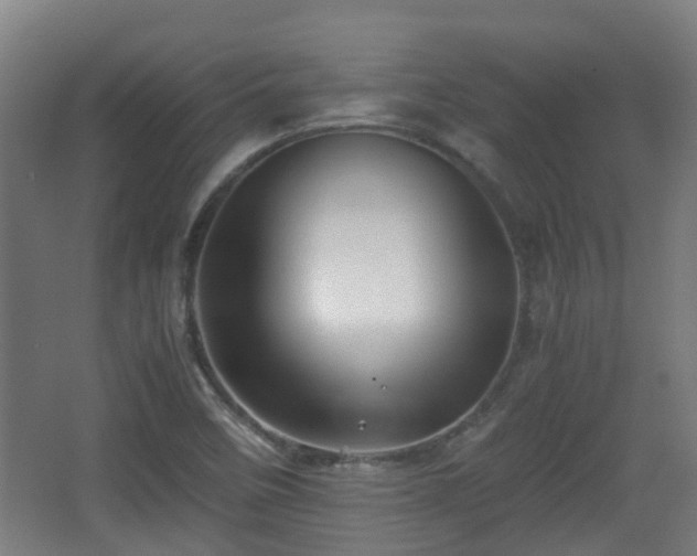 X0000066961458200603311411