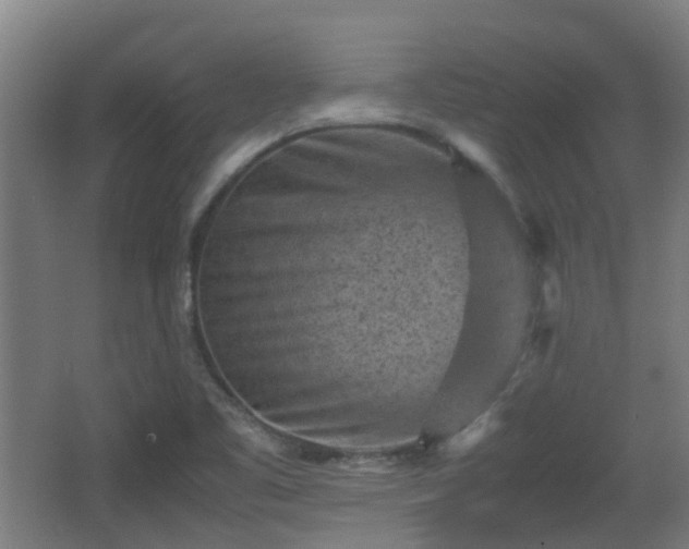 X0000066961461200603311411