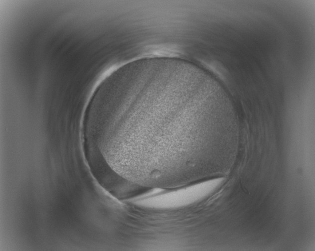 X0000066961471200603311410