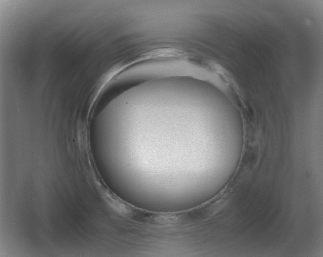 X0000066961473200603311410