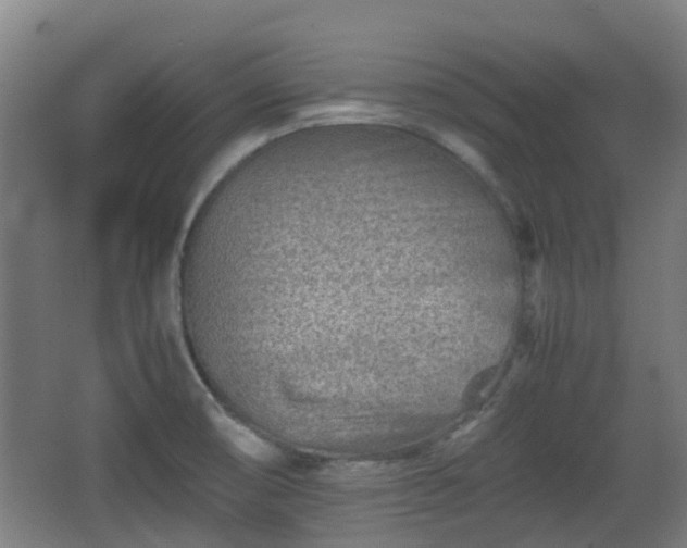 X0000066961474200603311410