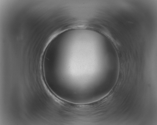 X0000066961483200603311410