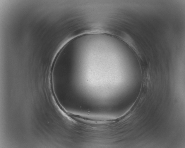 X0000066961484200603311410