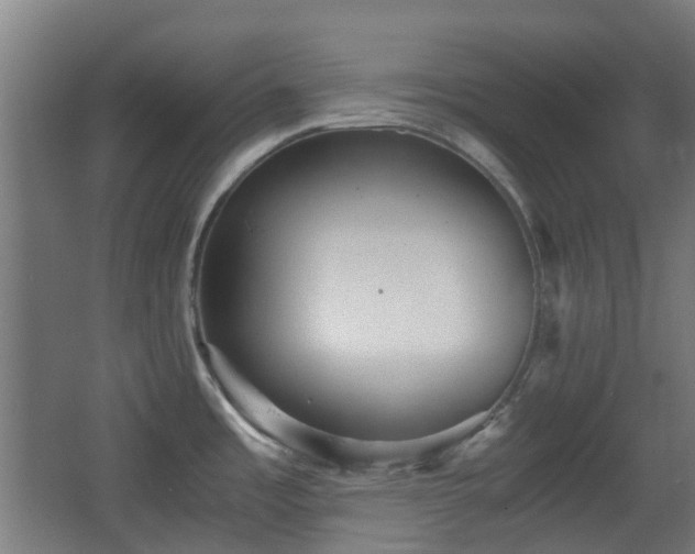 X0000066961485200603311410