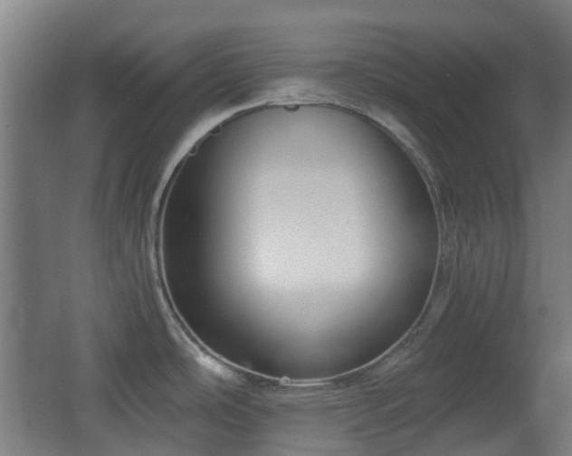 X0000066961486200603311410