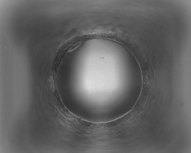 X0000066961493200603311409