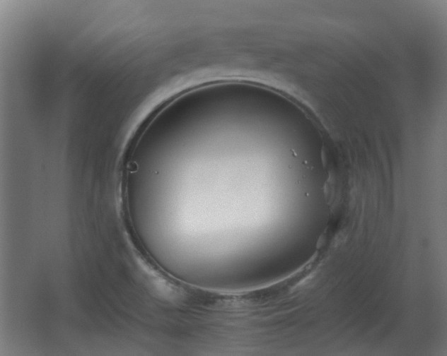 X0000066961511200603311410