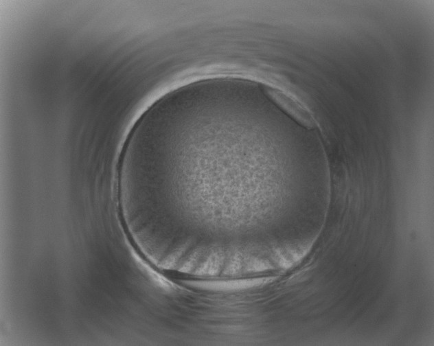 X0000066961527200603311410