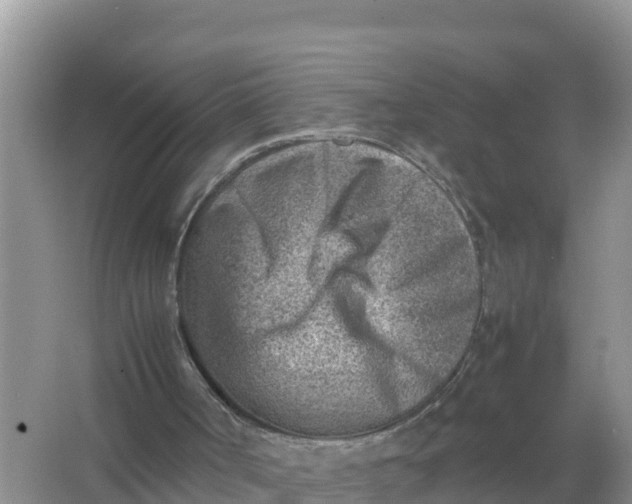 X0000066960002200604072016