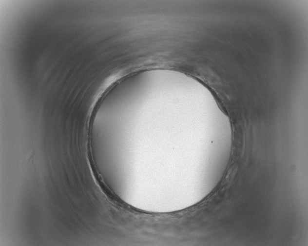 X0000066960003200604072016