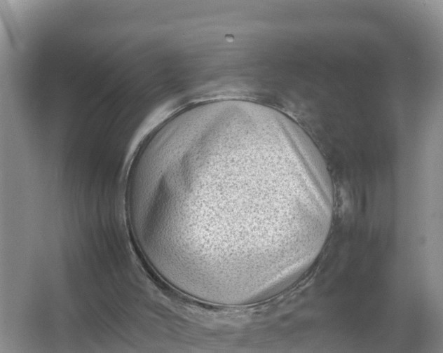 X0000066960004200604072016